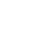 Akixi Logo