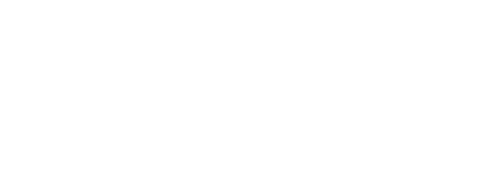 Zebra Solution Partner Logo