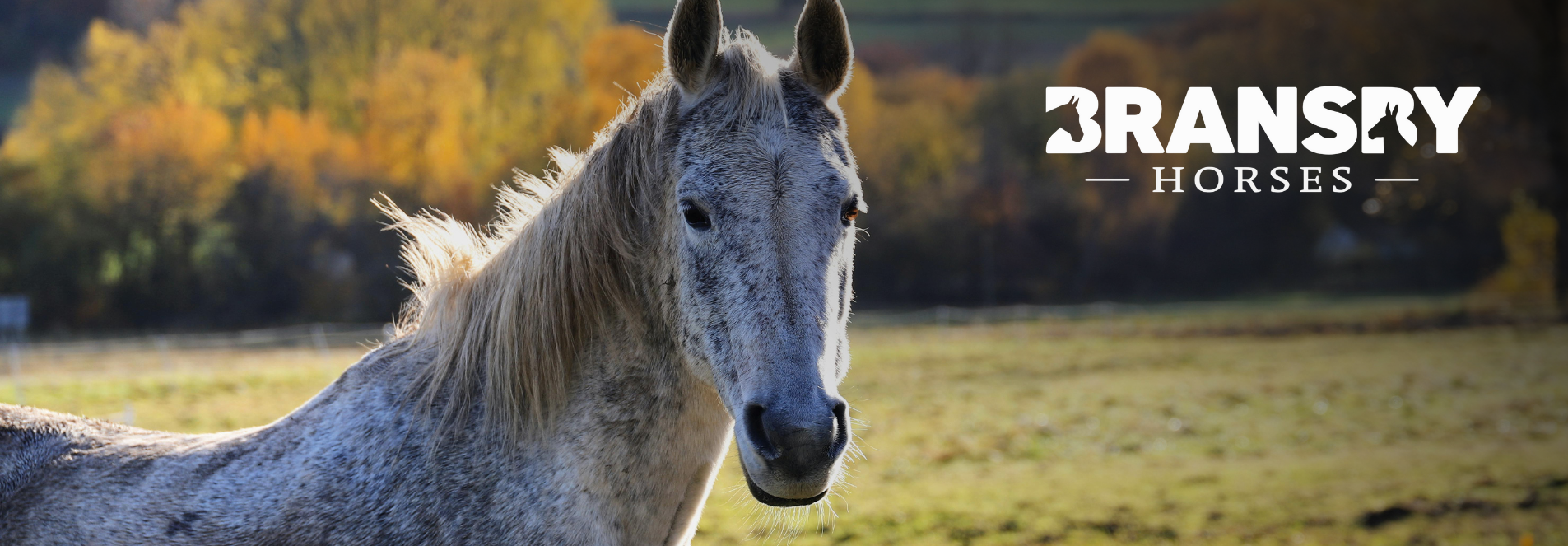 Inner Banner Image (16)