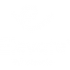 Elevate Logo