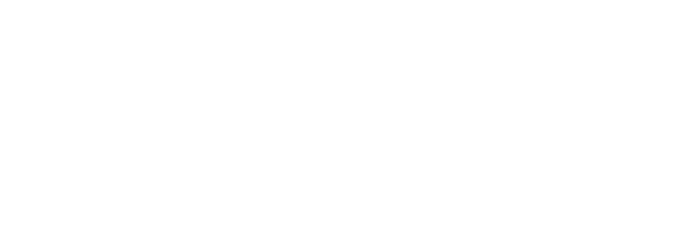 Dell Gold Partner Logo